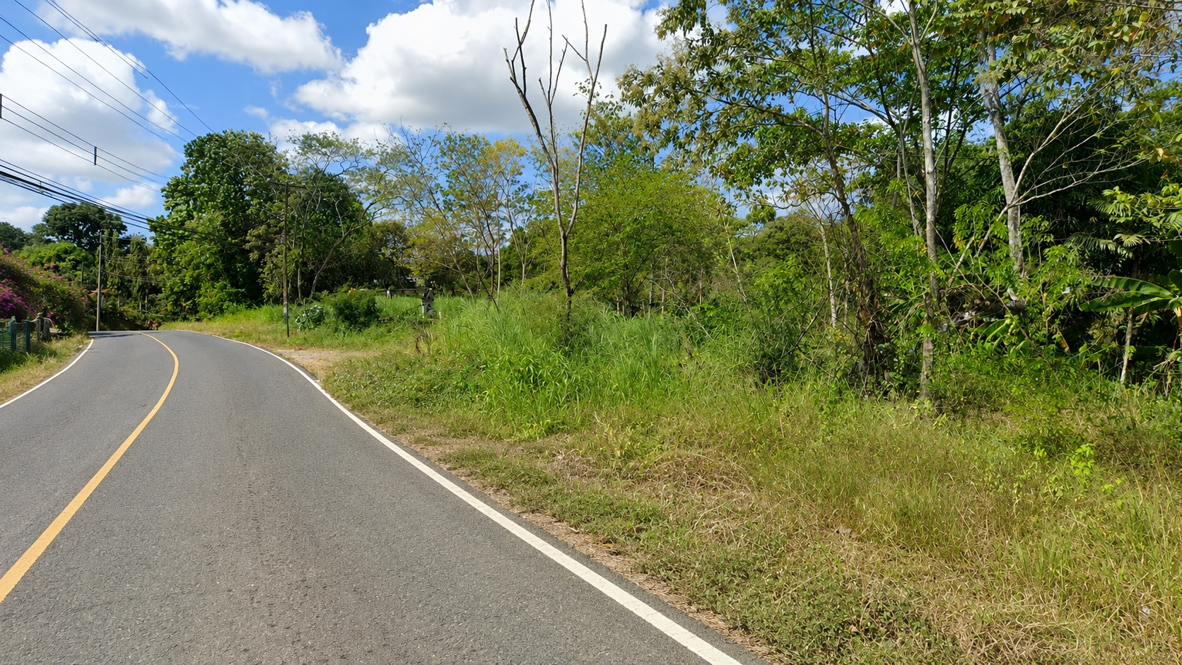 Terreno en venta en Bique