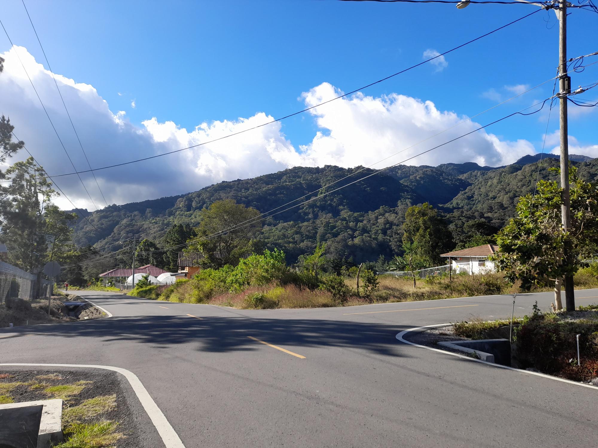 For Sale