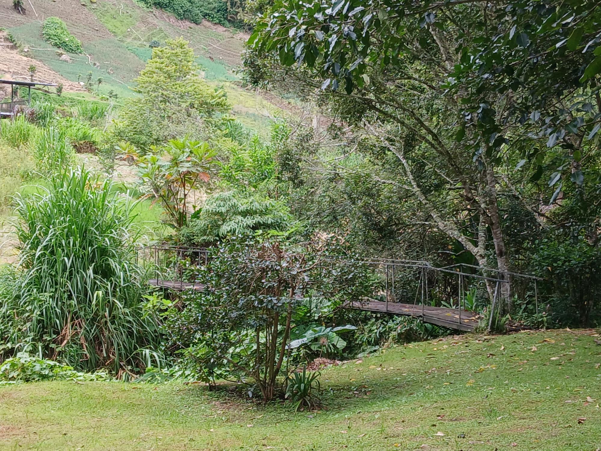 For Sale