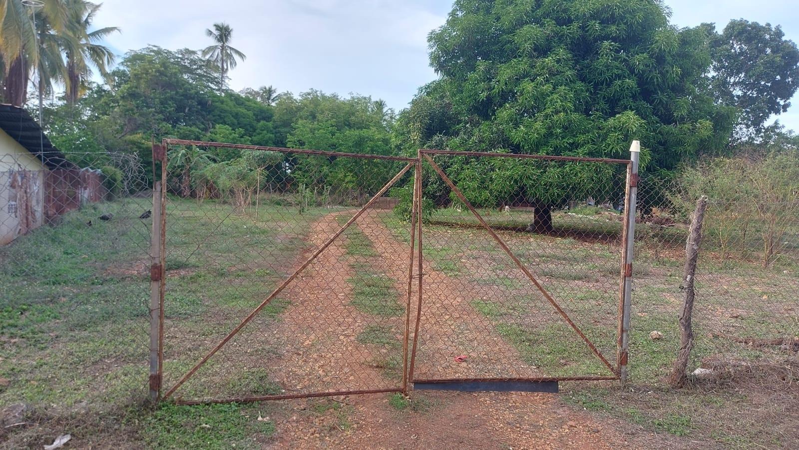 For Sale