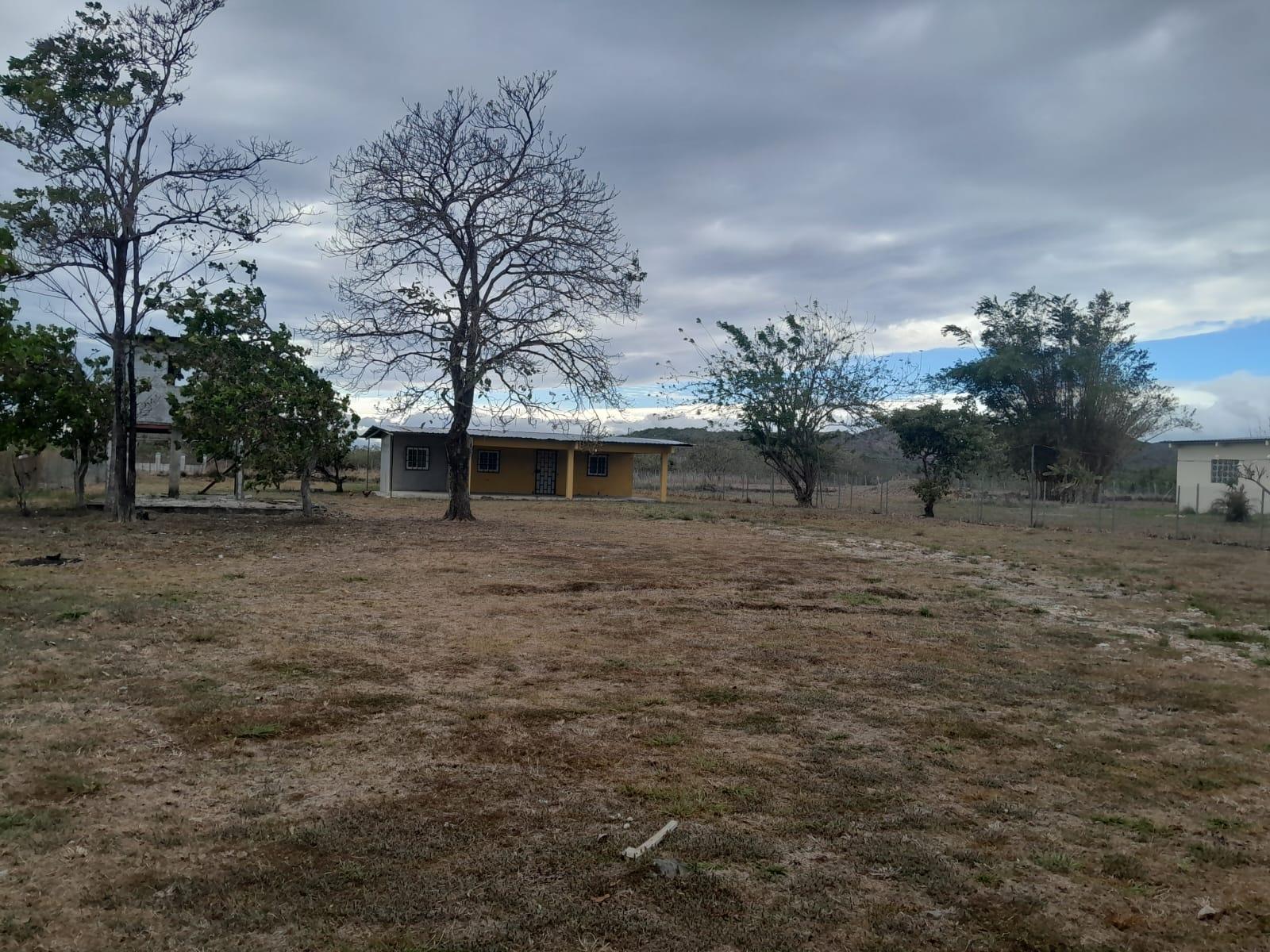 Terreno en venta en Penonomé