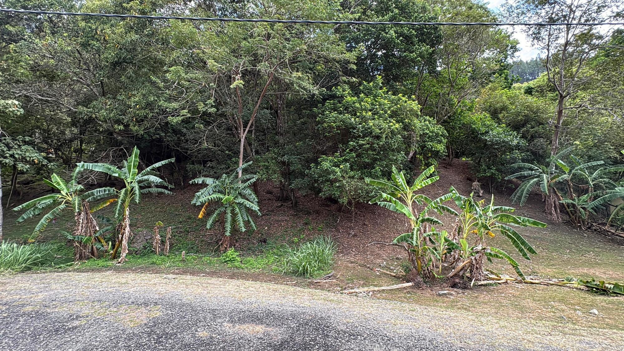 For Sale