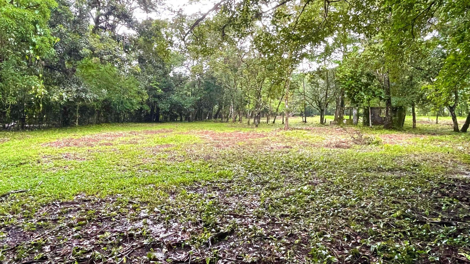 For Sale