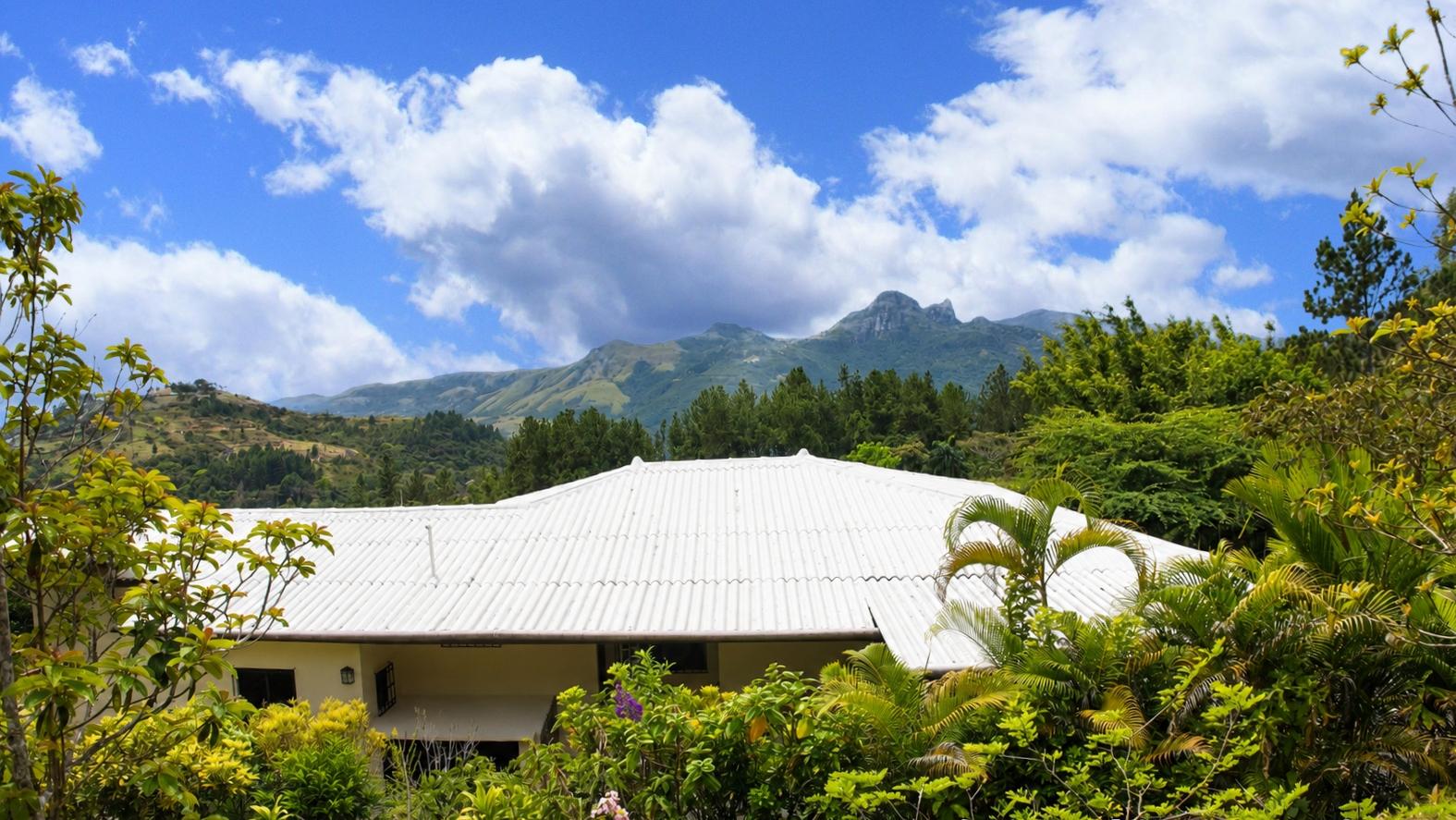 For Sale