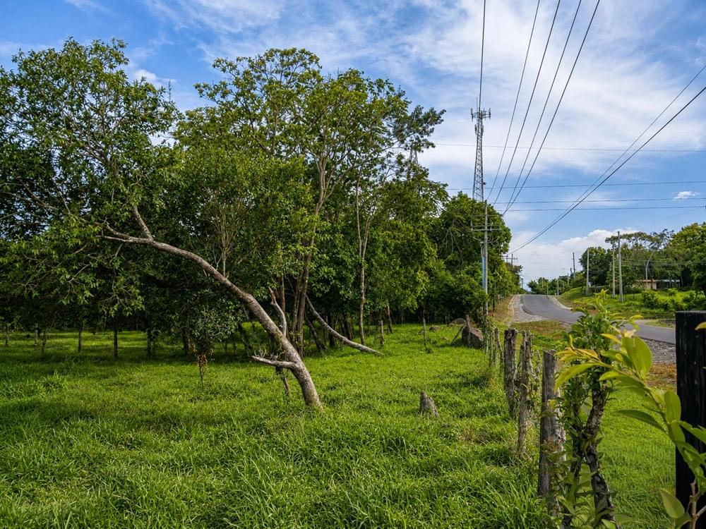 For Sale