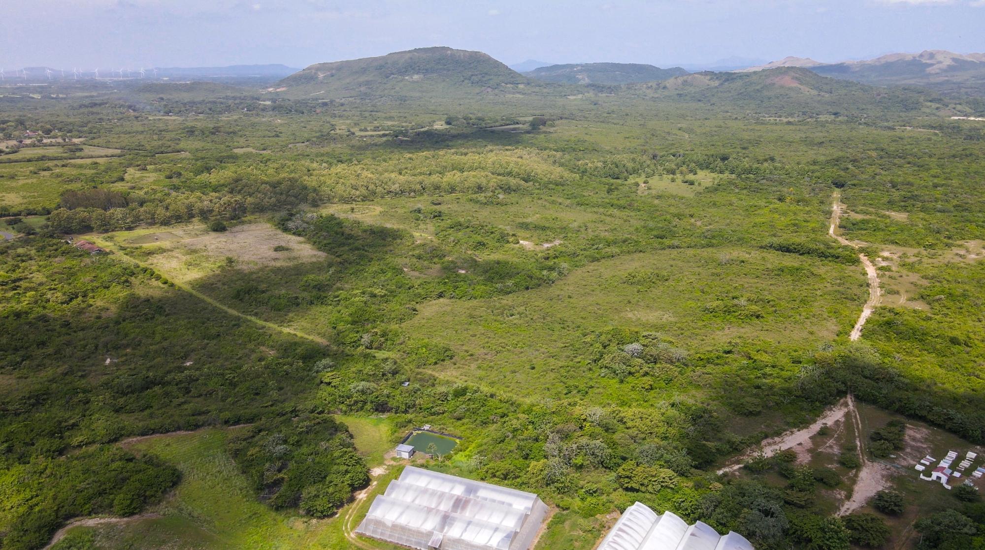 Terreno en venta en Penonomé
