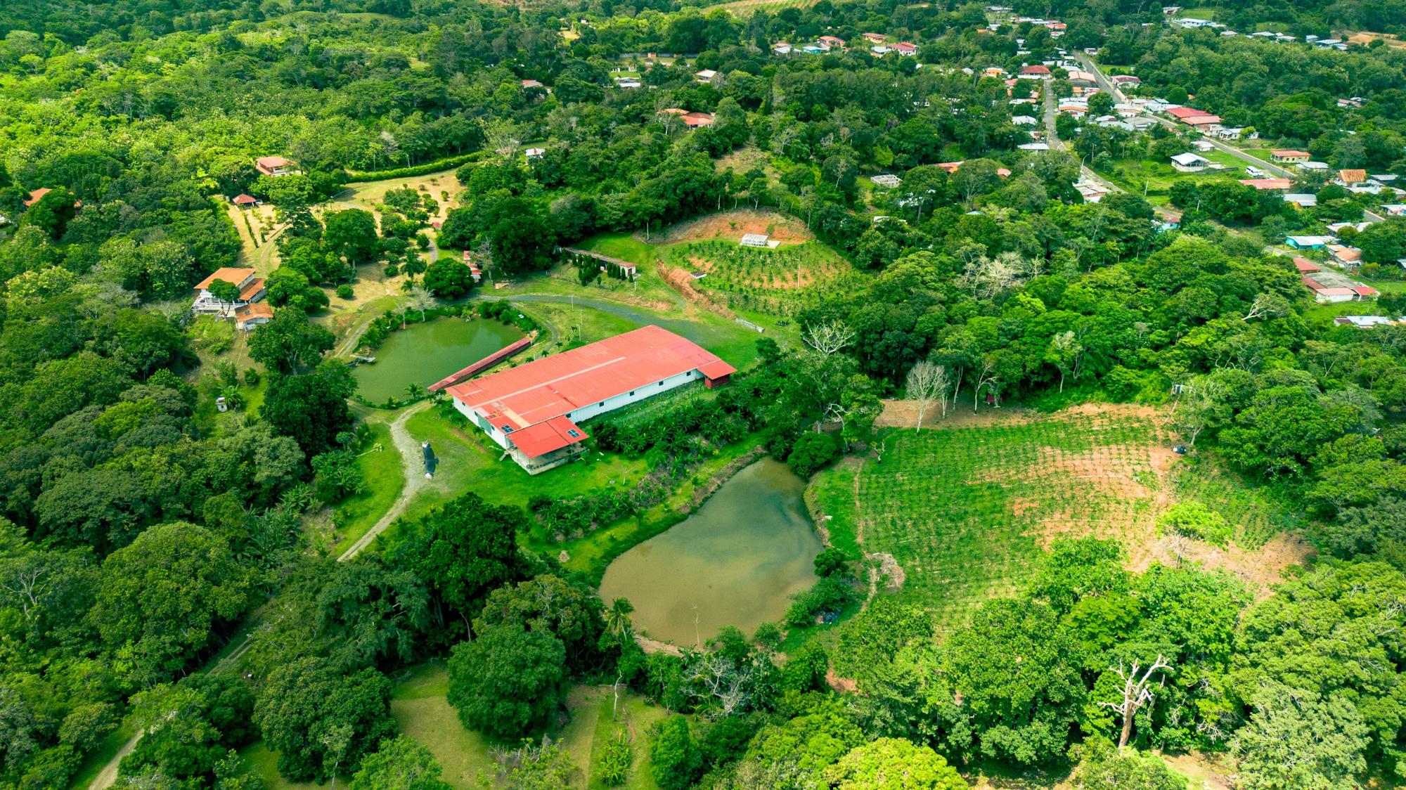 Finca en venta en Cermeño