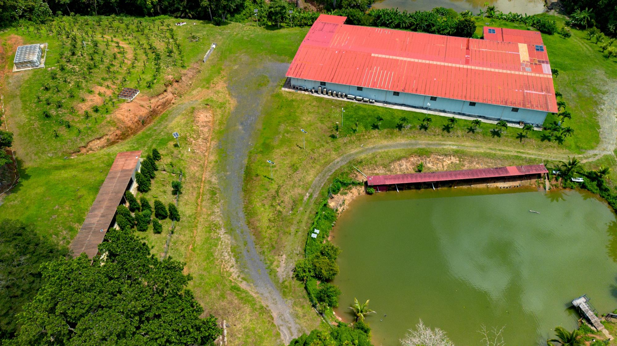 Finca en venta en Cermeño