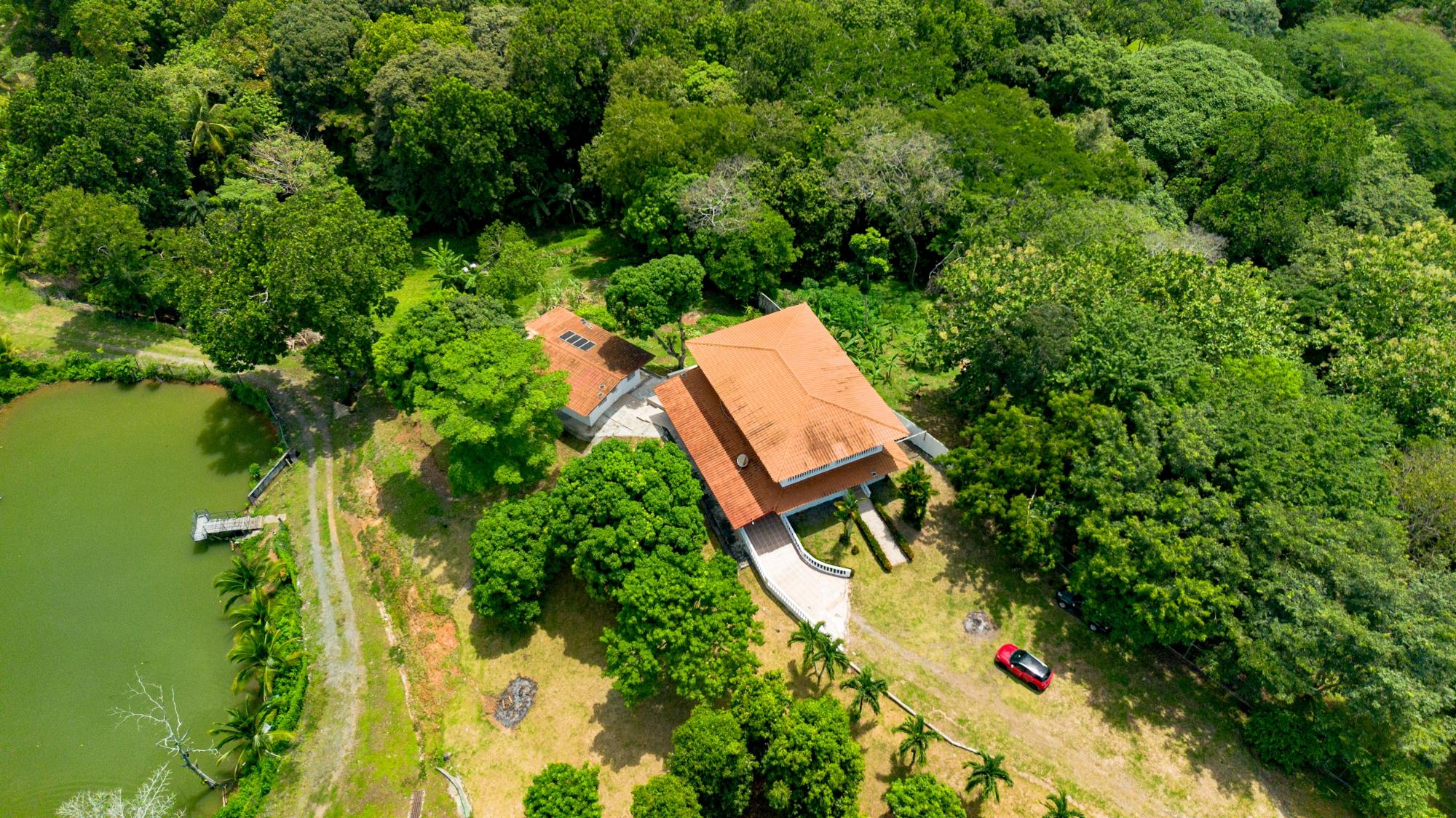 Finca en venta en Cermeño
