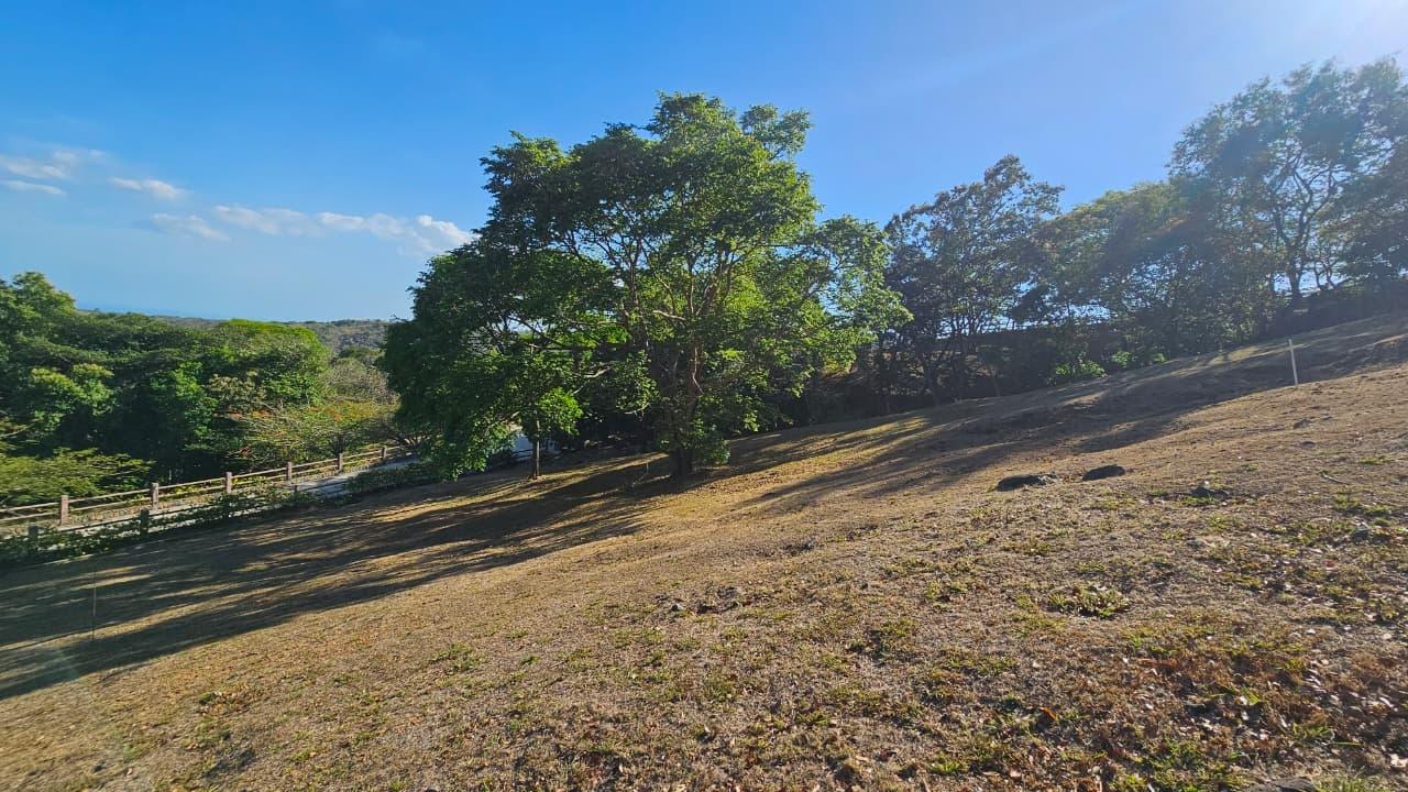 Terreno en venta en La Laguna