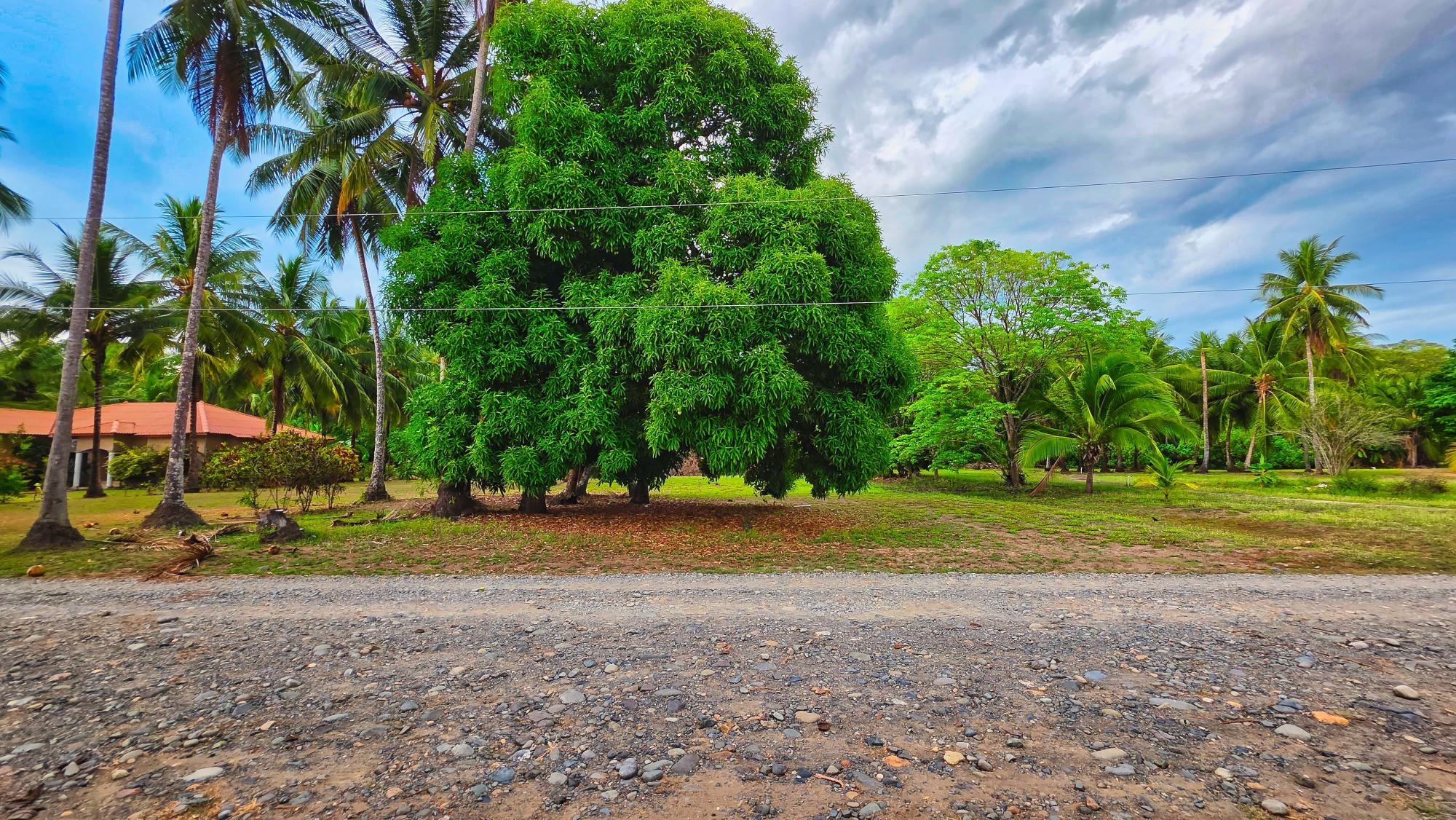 Terreno en venta en Las Lajas
