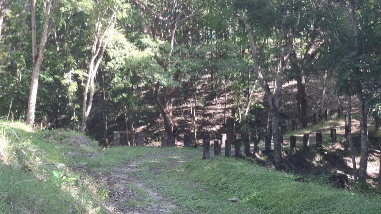 Finca en venta en San Carlos