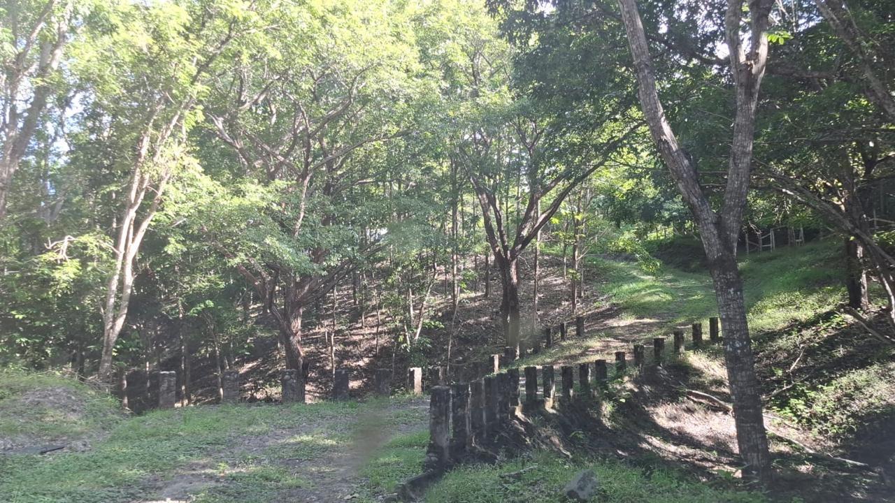 Finca en venta en San Carlos