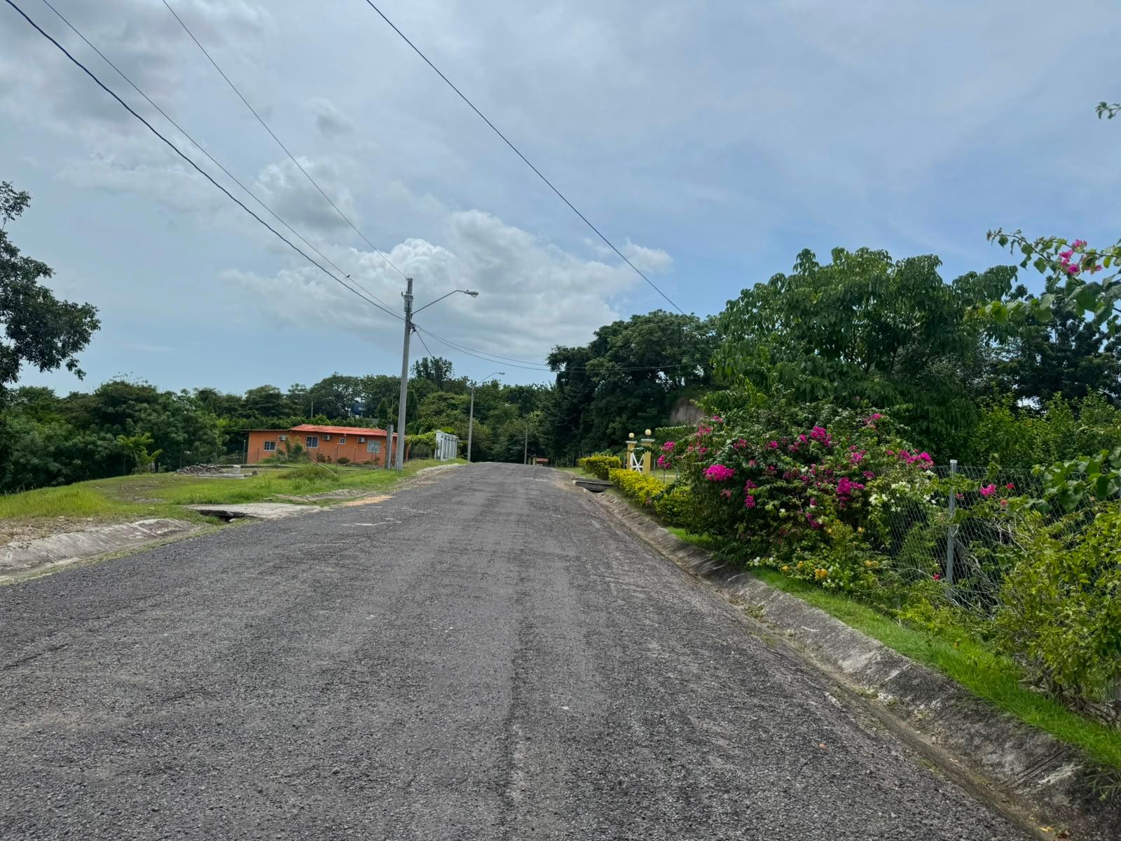 Terreno en venta en Las Uvas