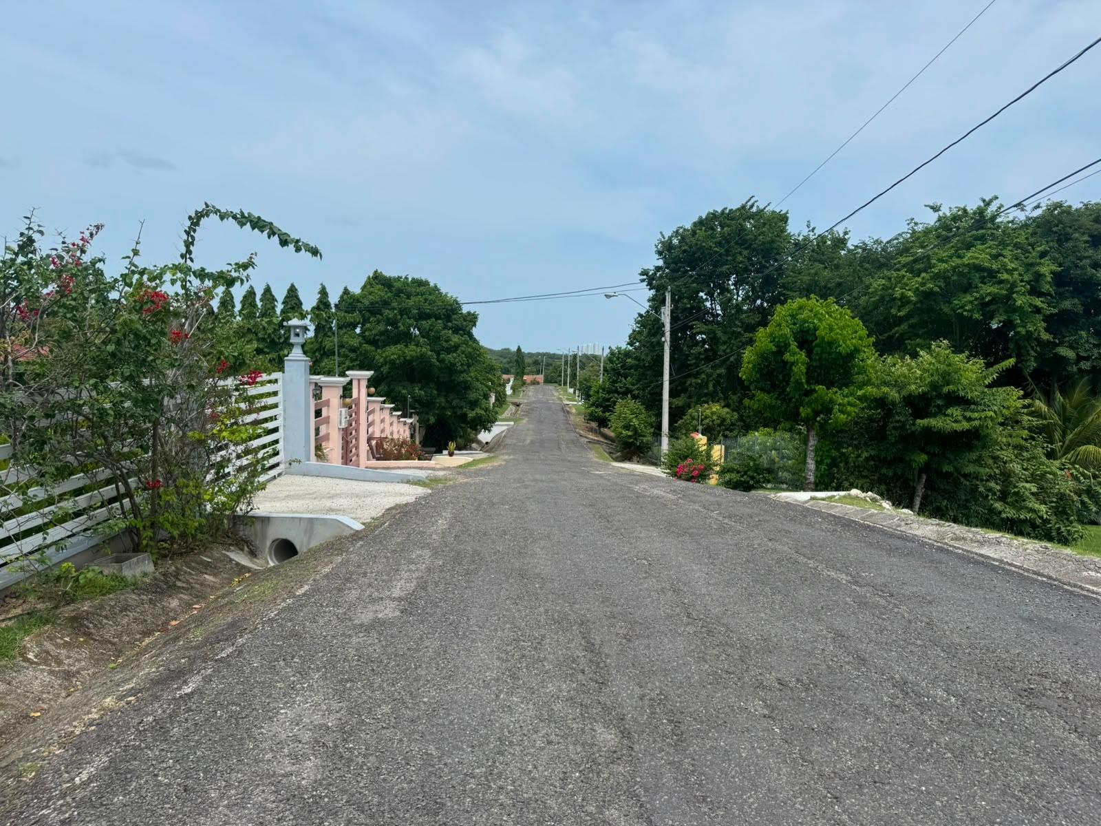 Terreno en venta en Las Uvas
