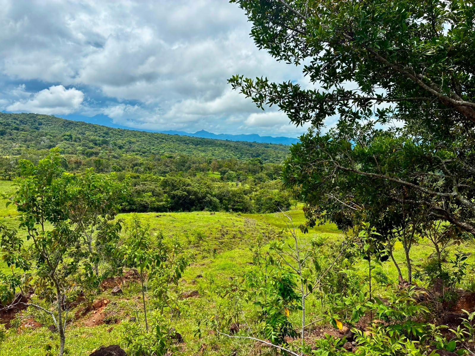 Finca en venta en Boquete