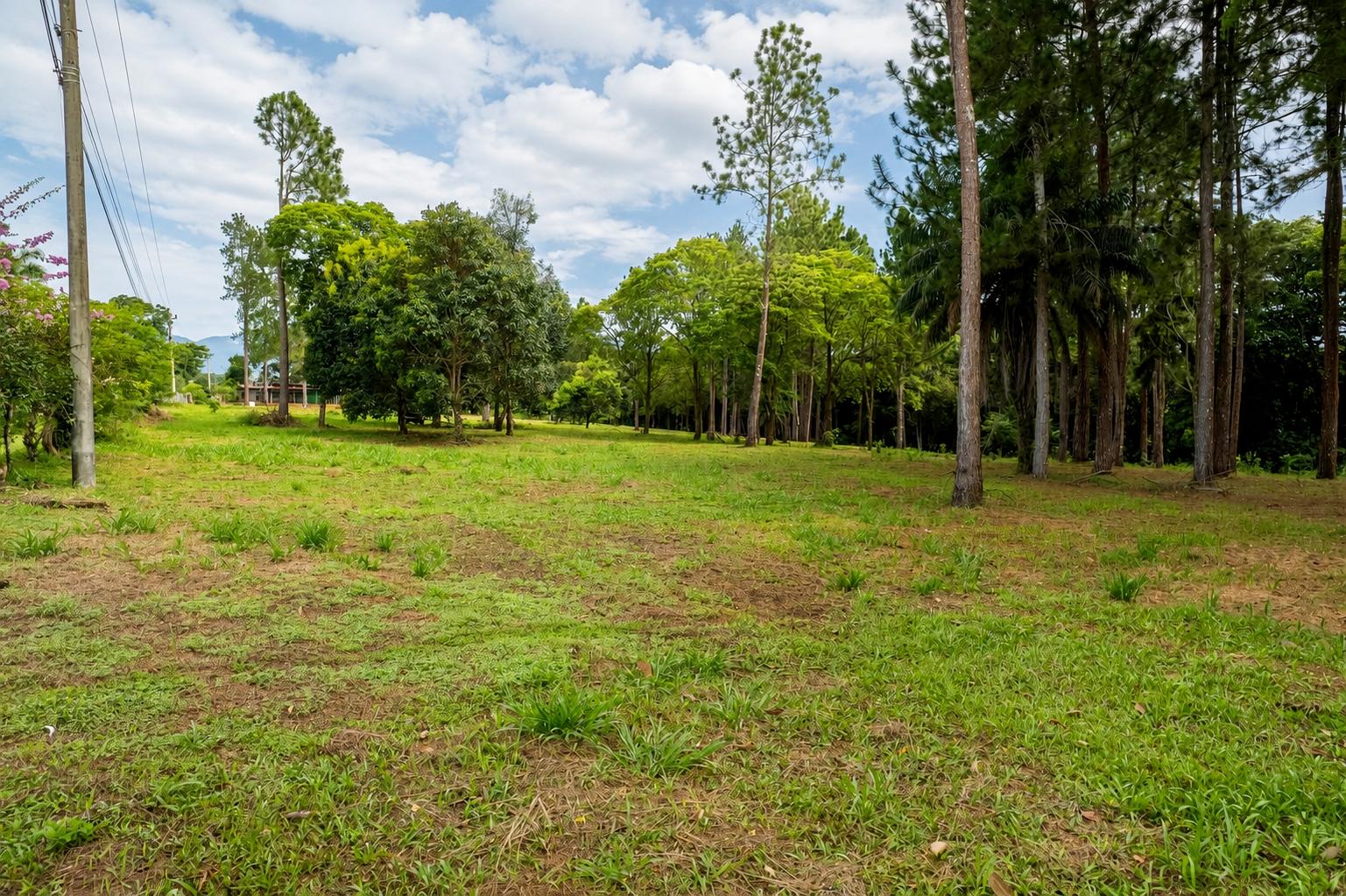 Finca en venta en Potrerillos Arriba