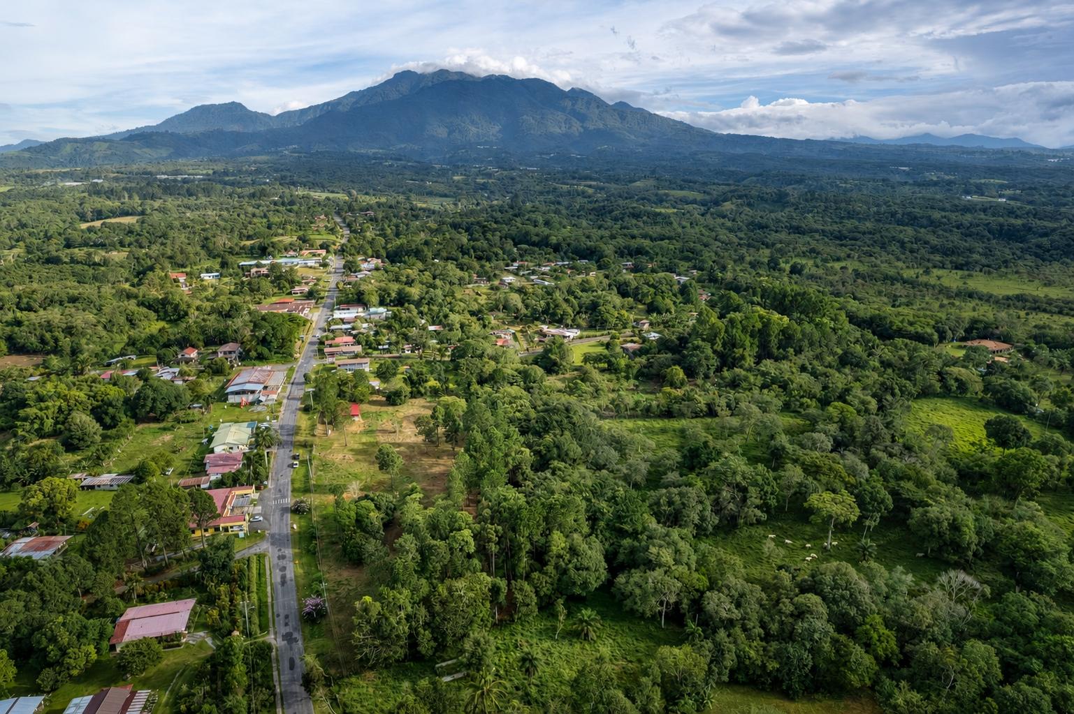 Finca en venta en Potrerillos Arriba
