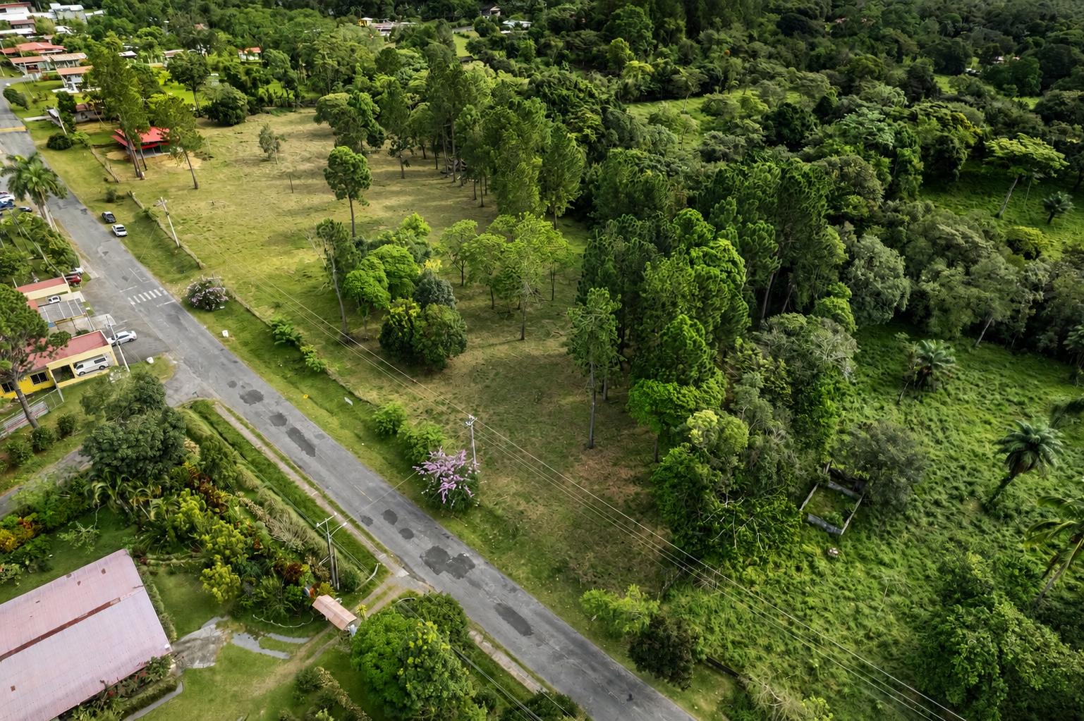 Finca en venta en Potrerillos Arriba