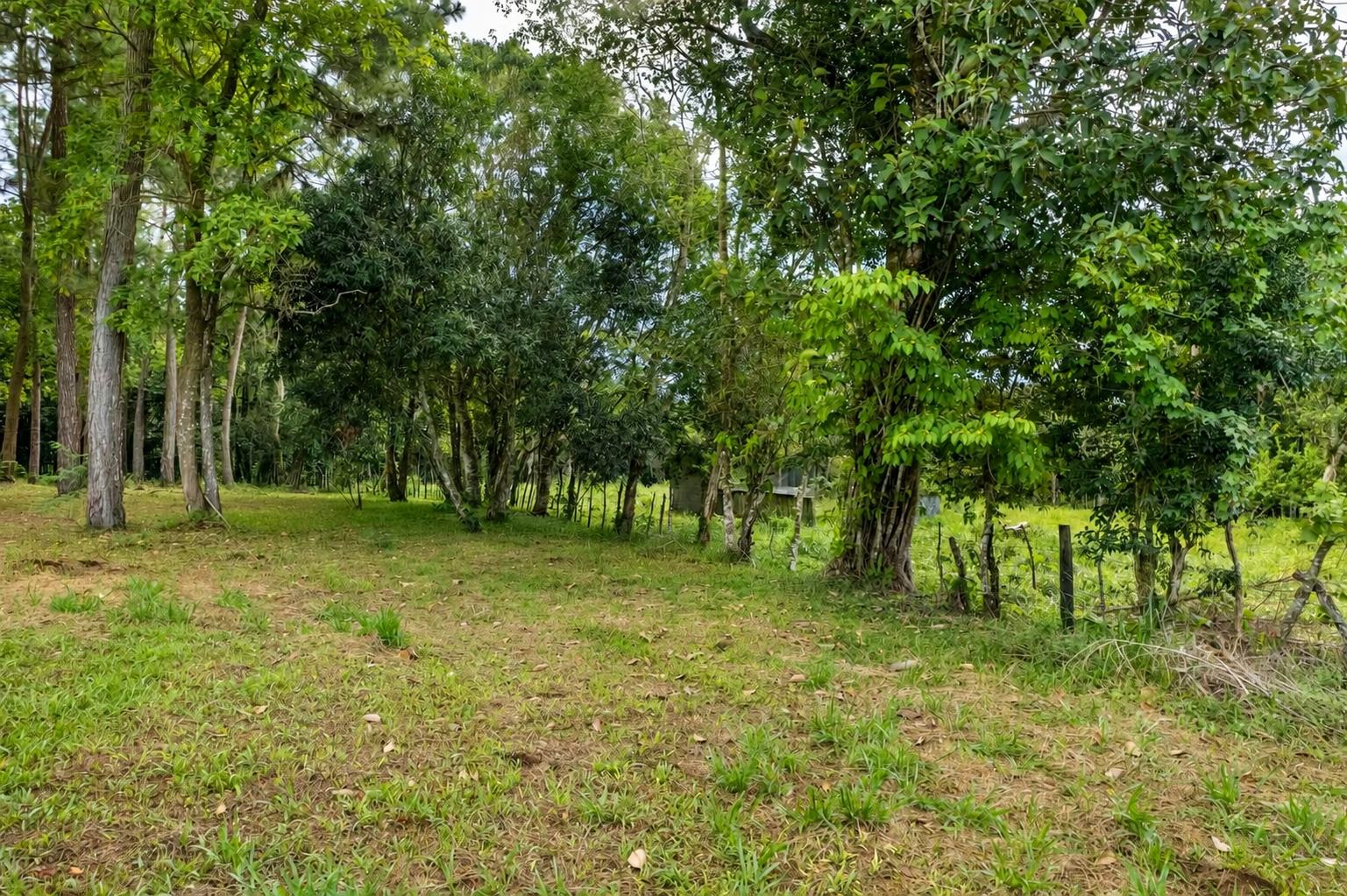 Finca en venta en Potrerillos Arriba
