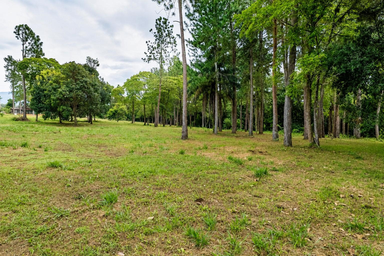 Finca en venta en Potrerillos Arriba