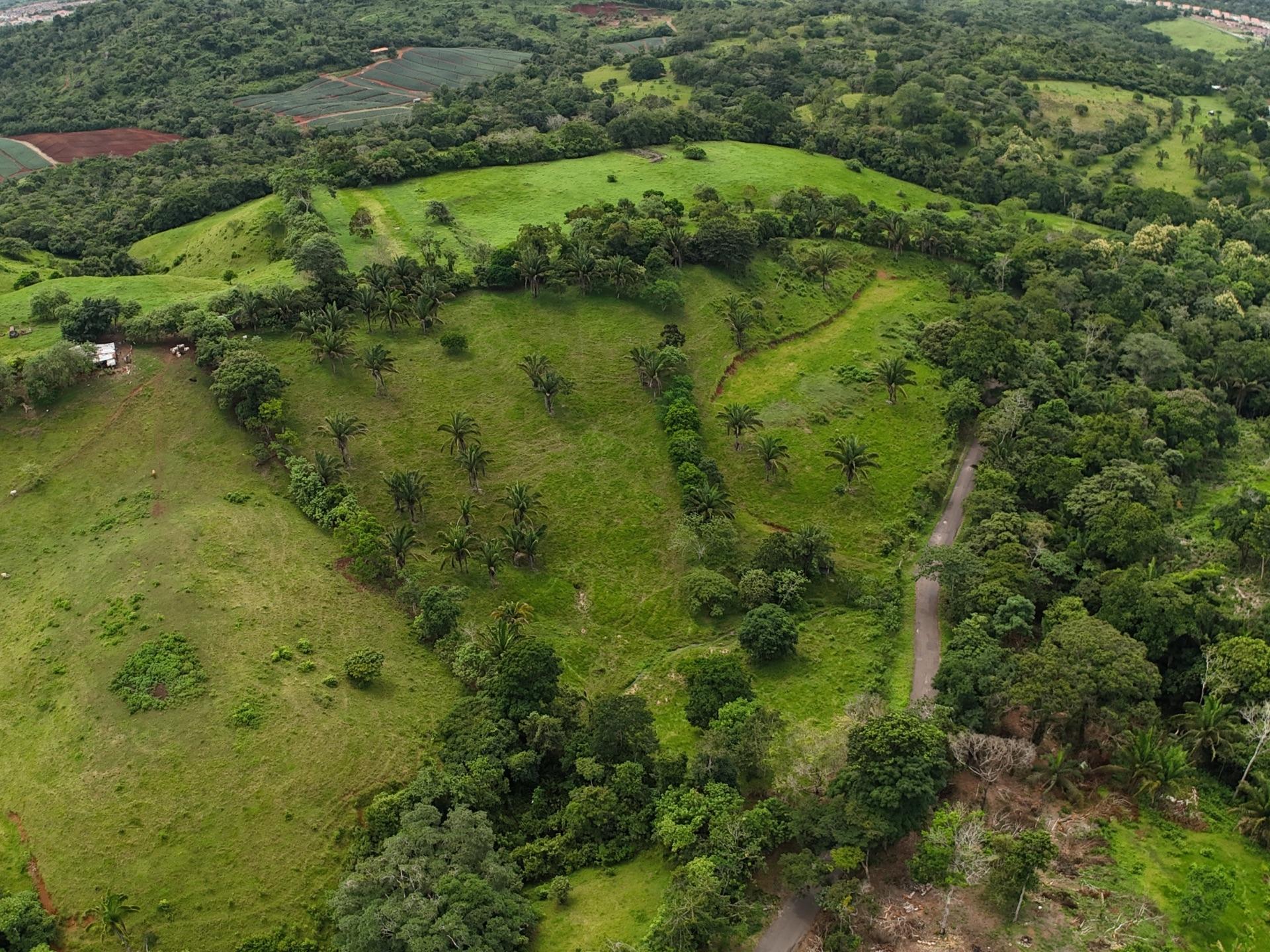 Terreno en venta en La Loma