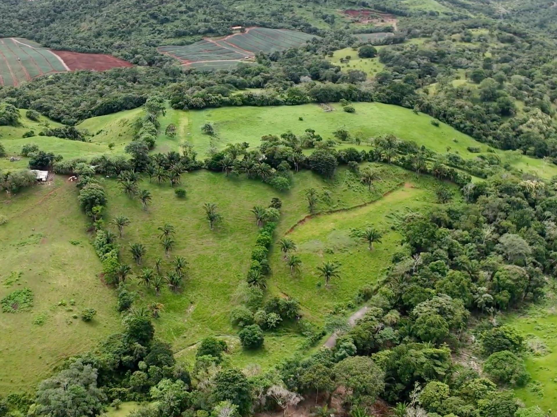 Terreno en venta en La Loma