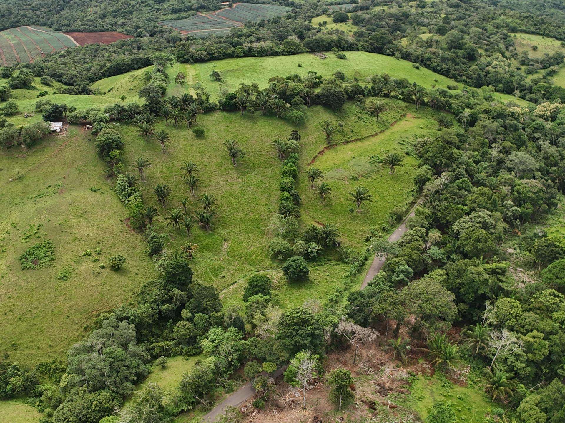 Terreno en venta en La Loma