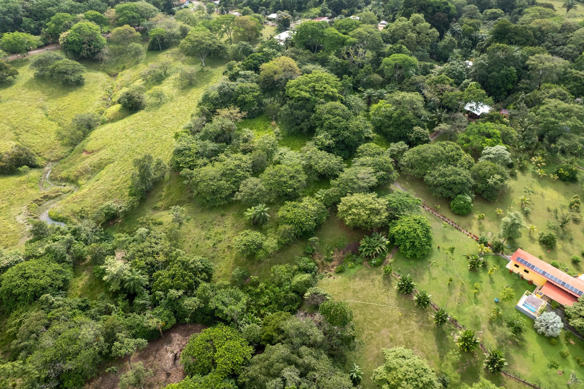 Terreno en venta en Las Lajas