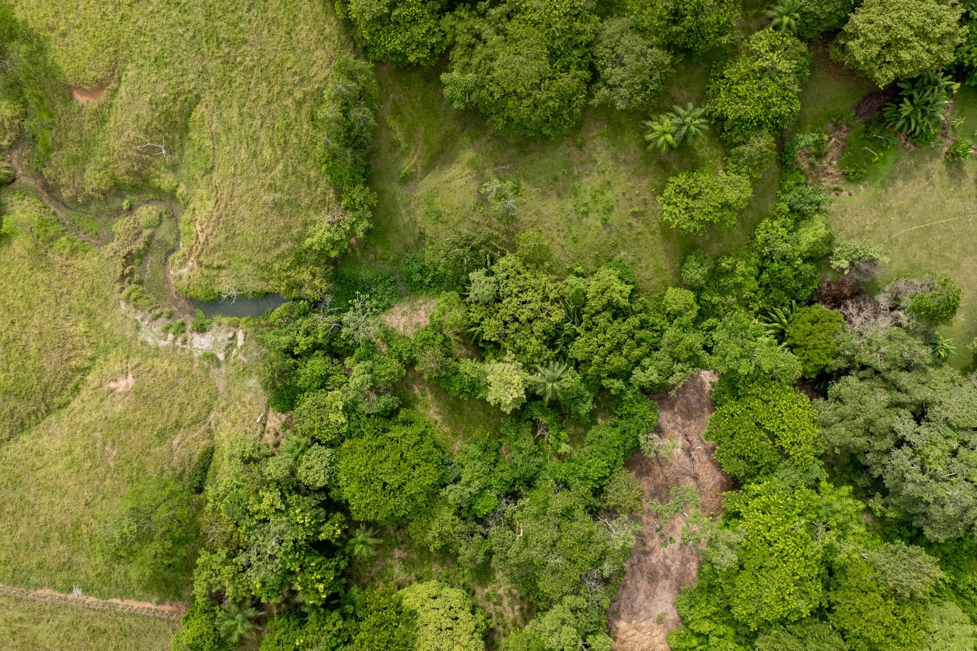 Terreno en venta en Las Lajas