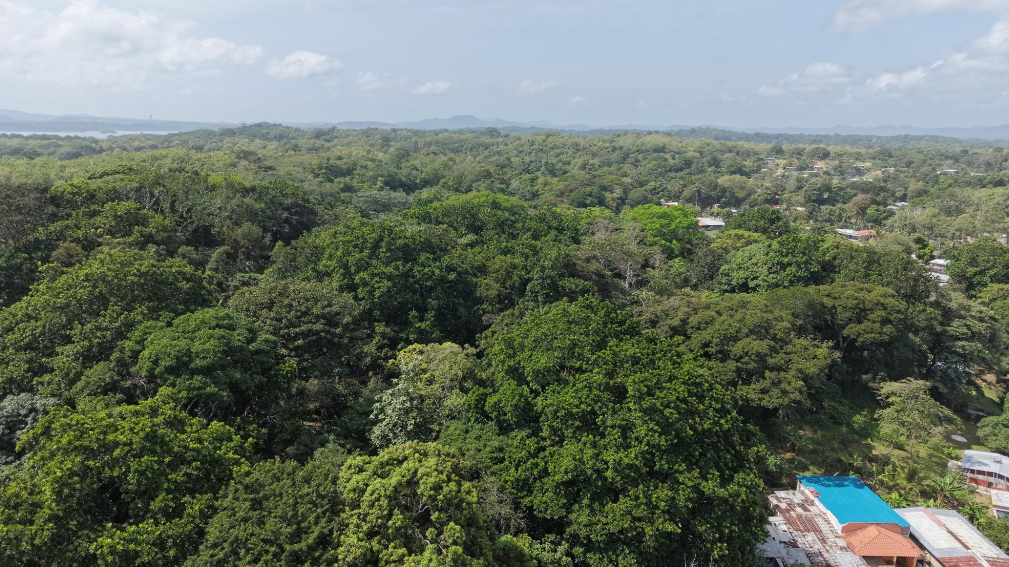 Finca en venta en San Juan