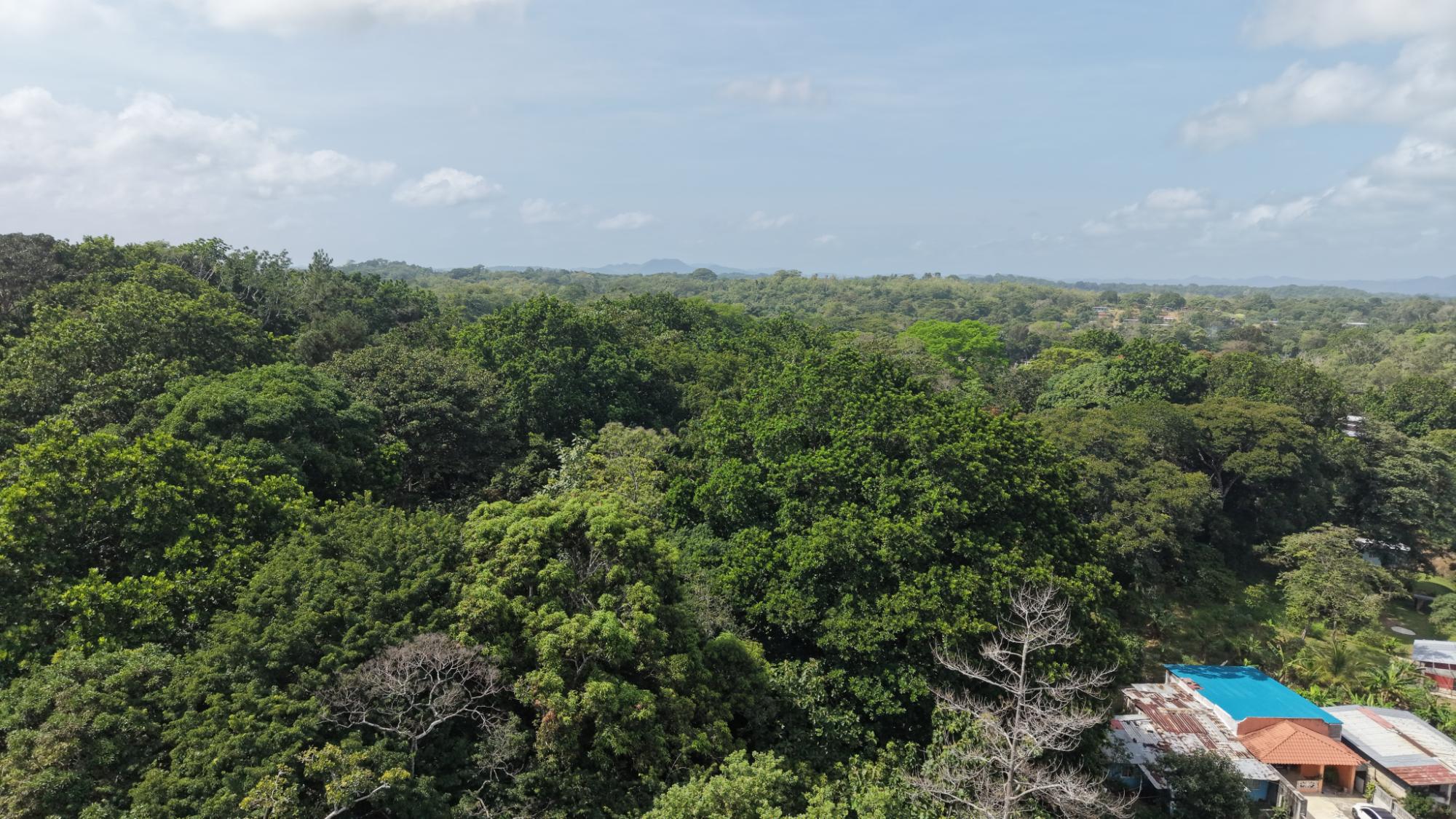Finca en venta en San Juan