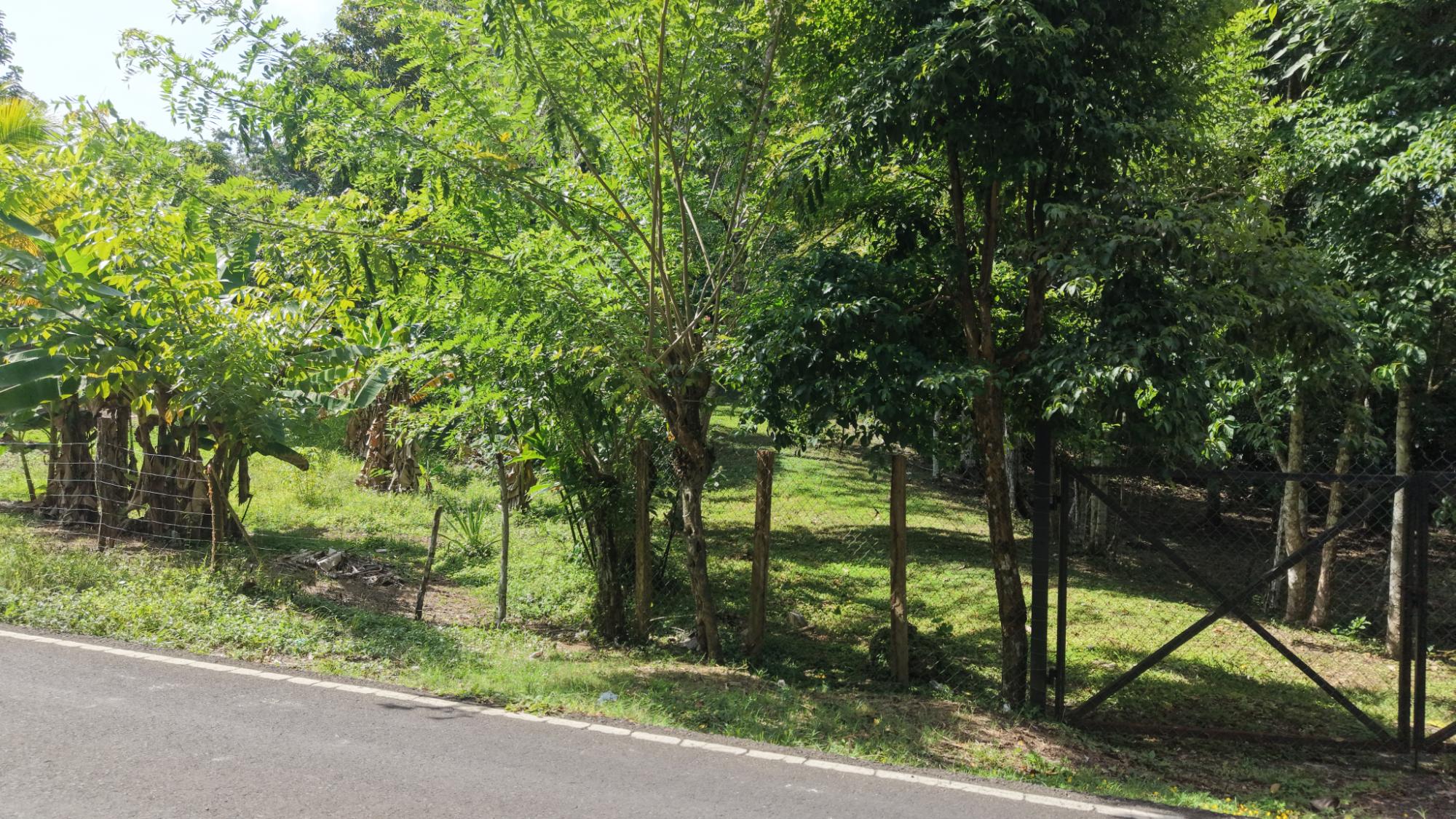 Finca en venta en San Juan
