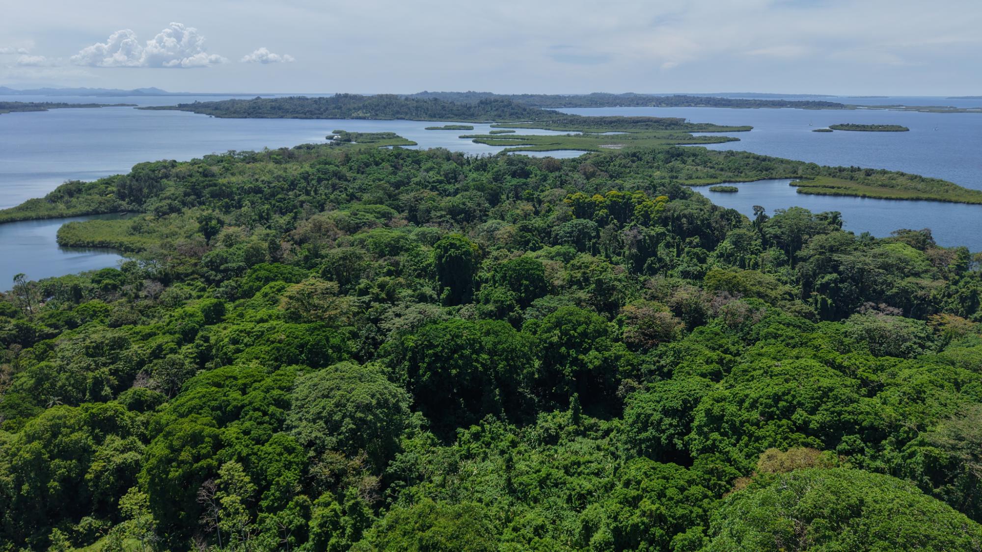 Terreno en venta en Bocas del Toro