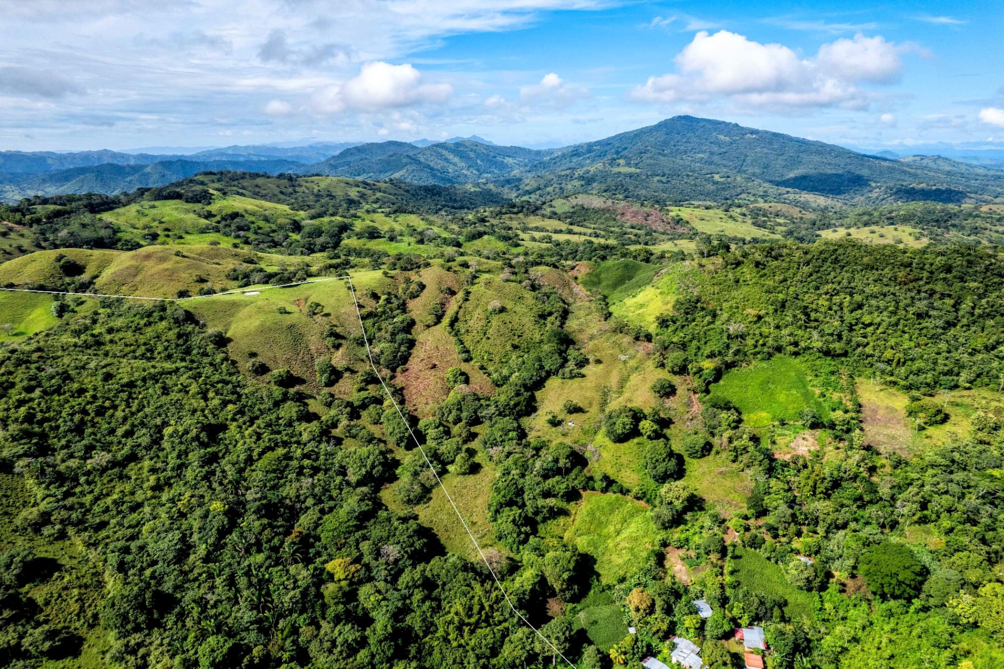 Finca en venta en Palmira