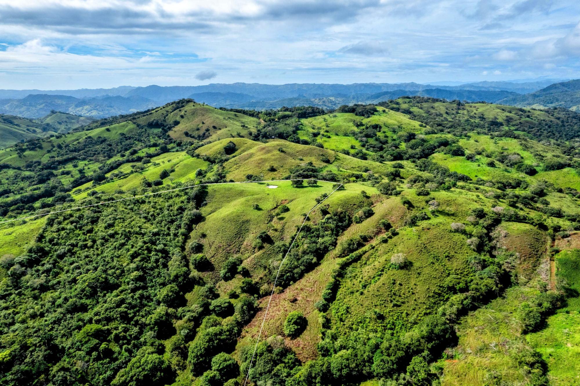 Finca en venta en Palmira