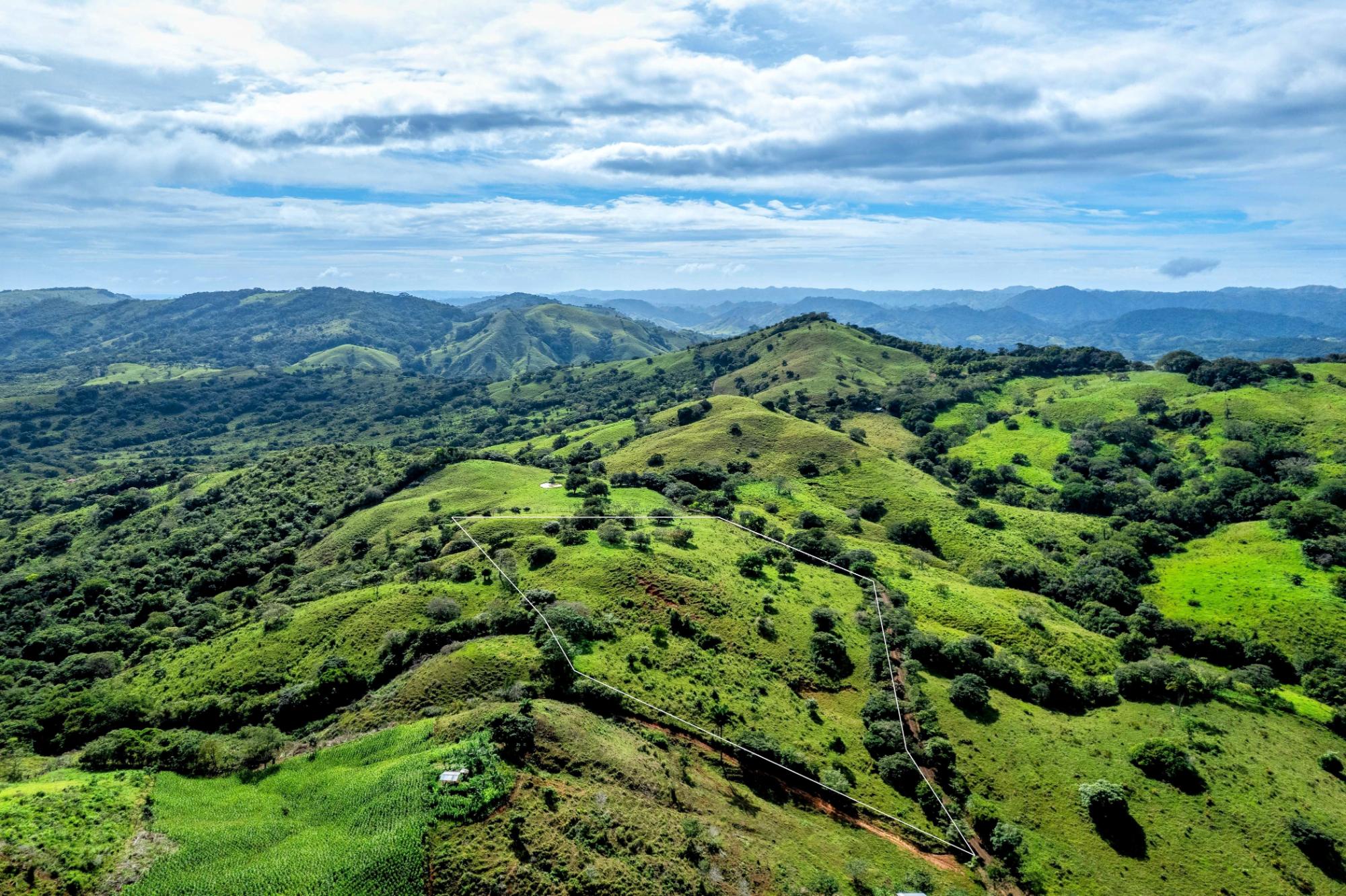 Finca en venta en Las Tablas