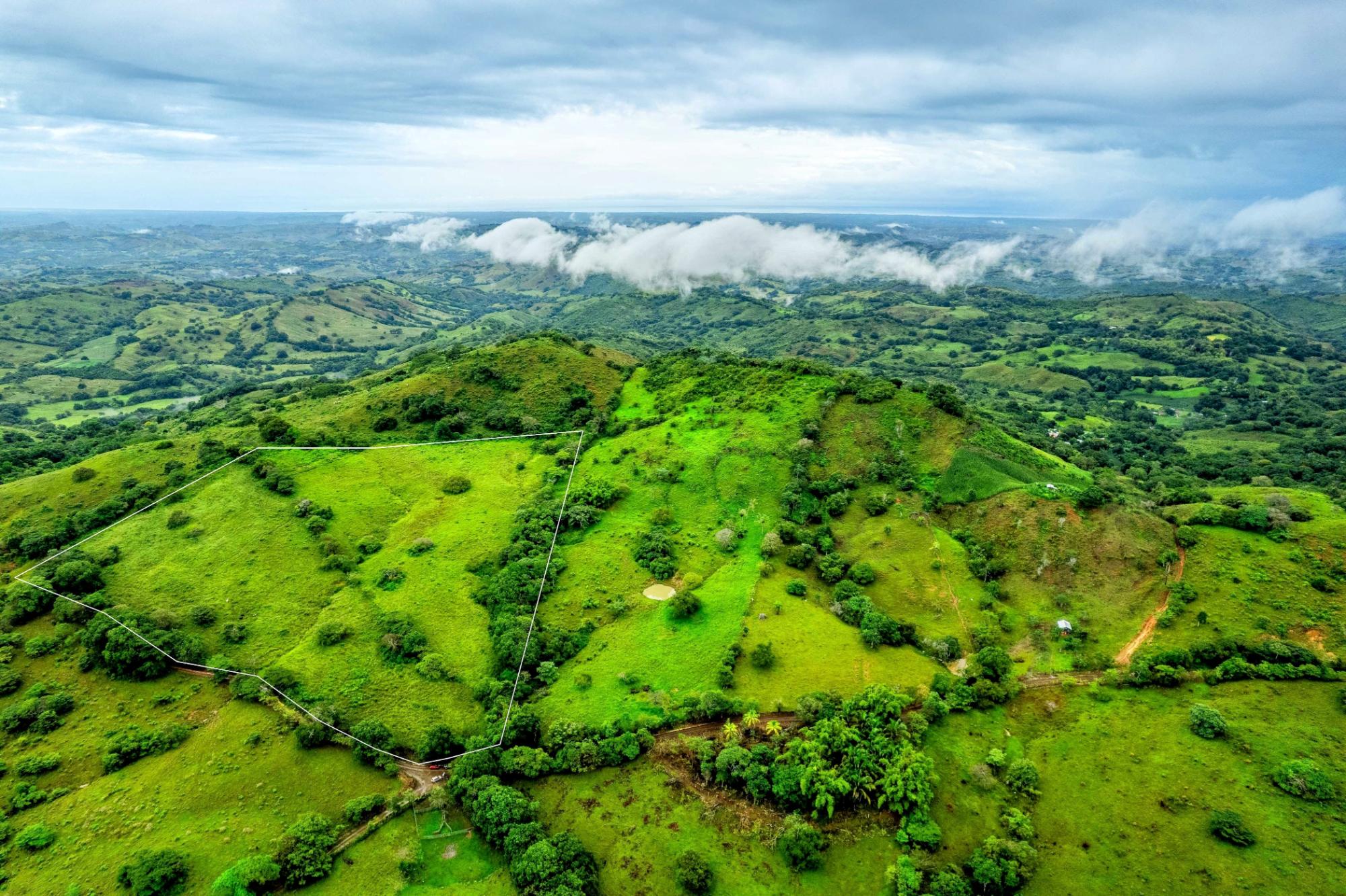 Finca en venta en Las Tablas