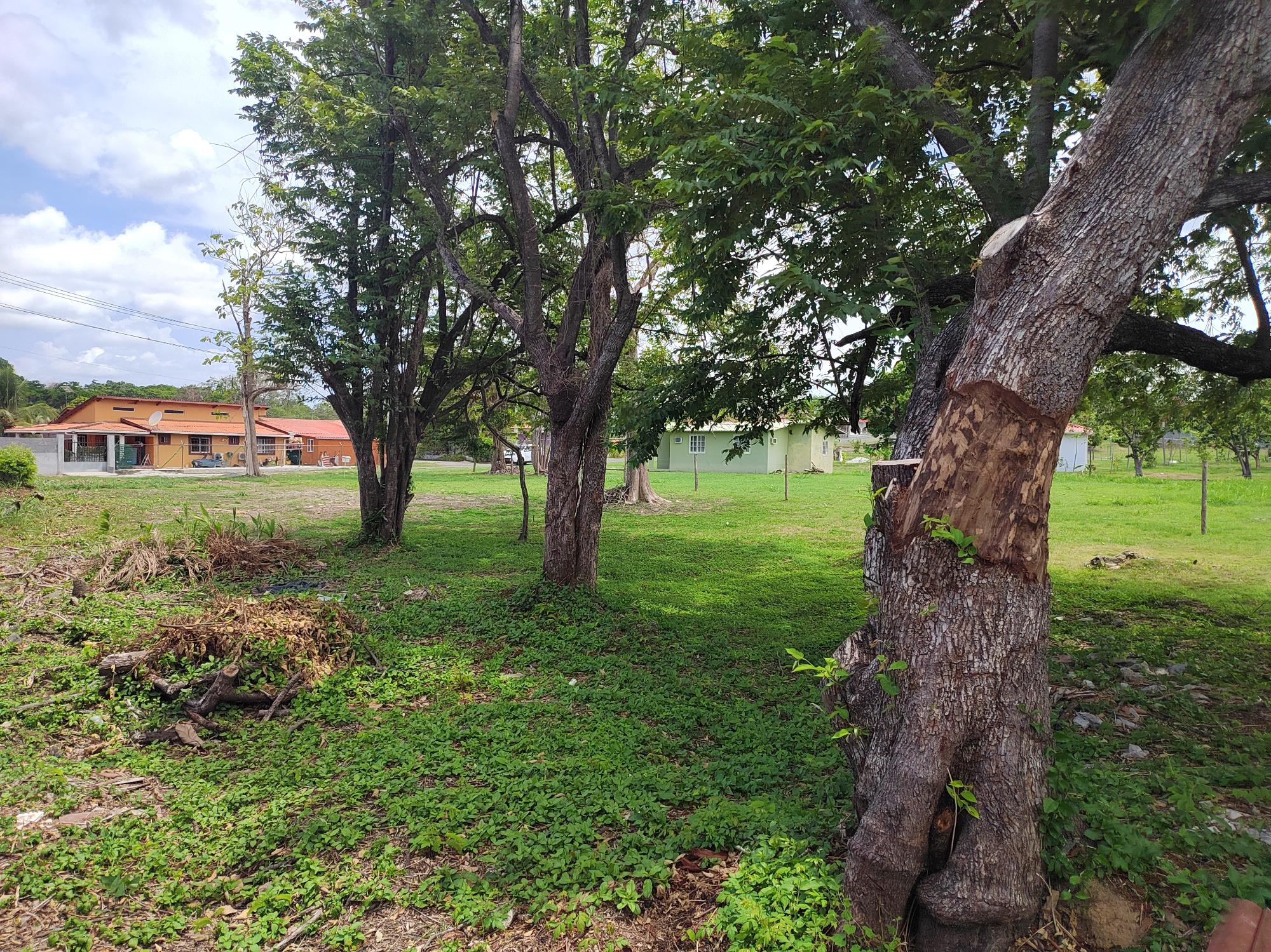 Terreno en venta en Chame