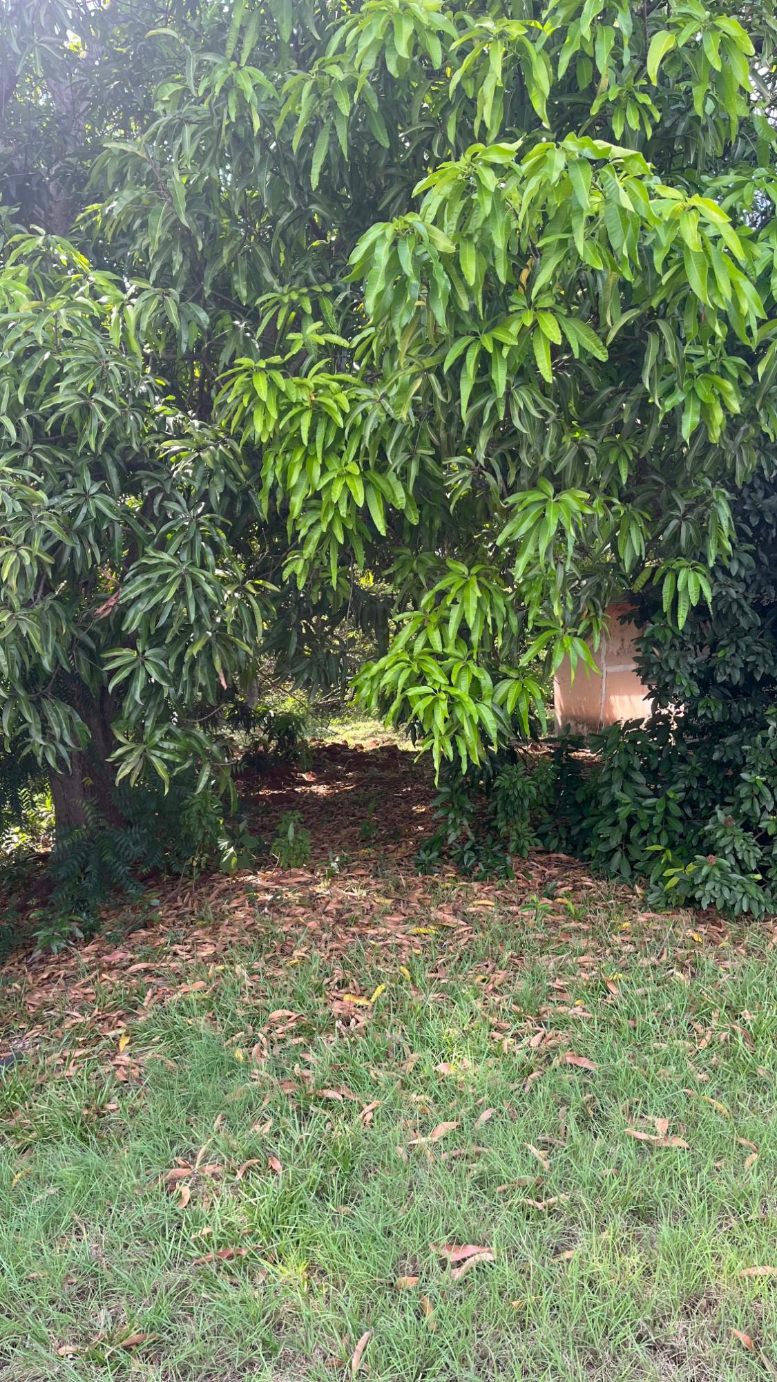 Casa en venta en La Villa de los Santos