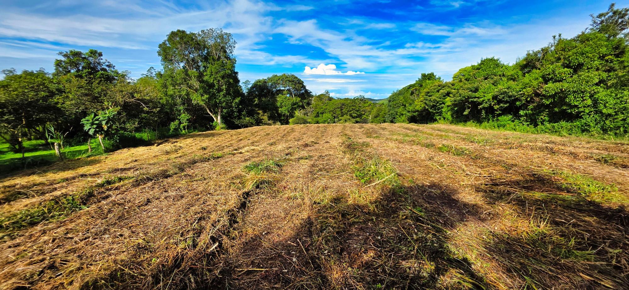 Terreno en venta en Volcán