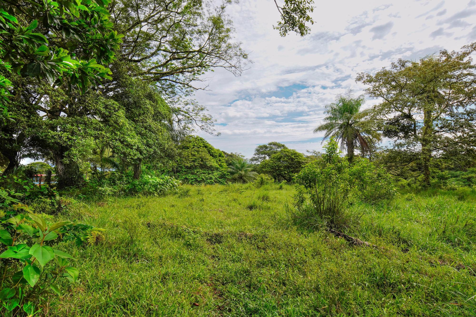 Finca en venta en David