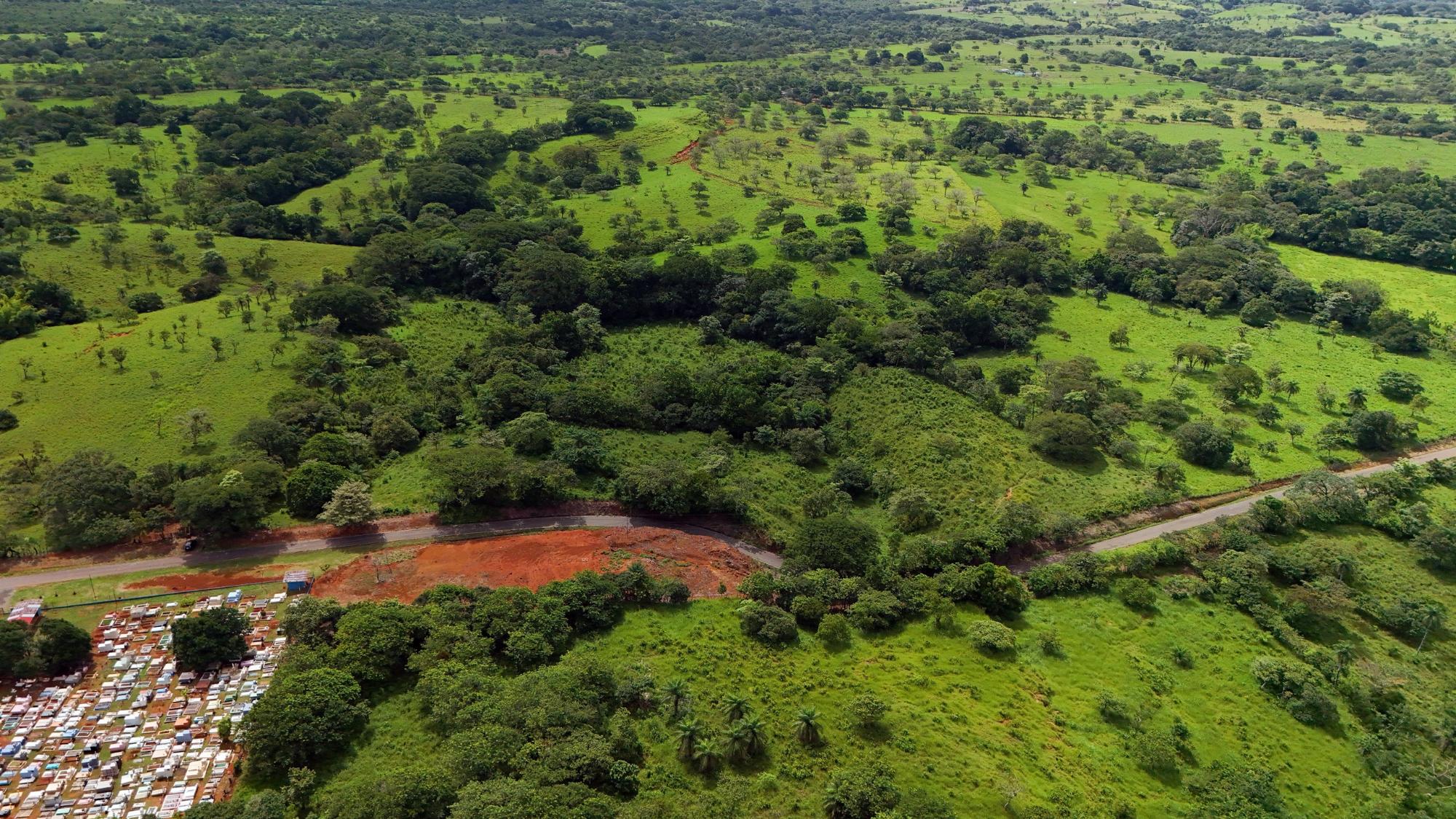 Finca en venta en David