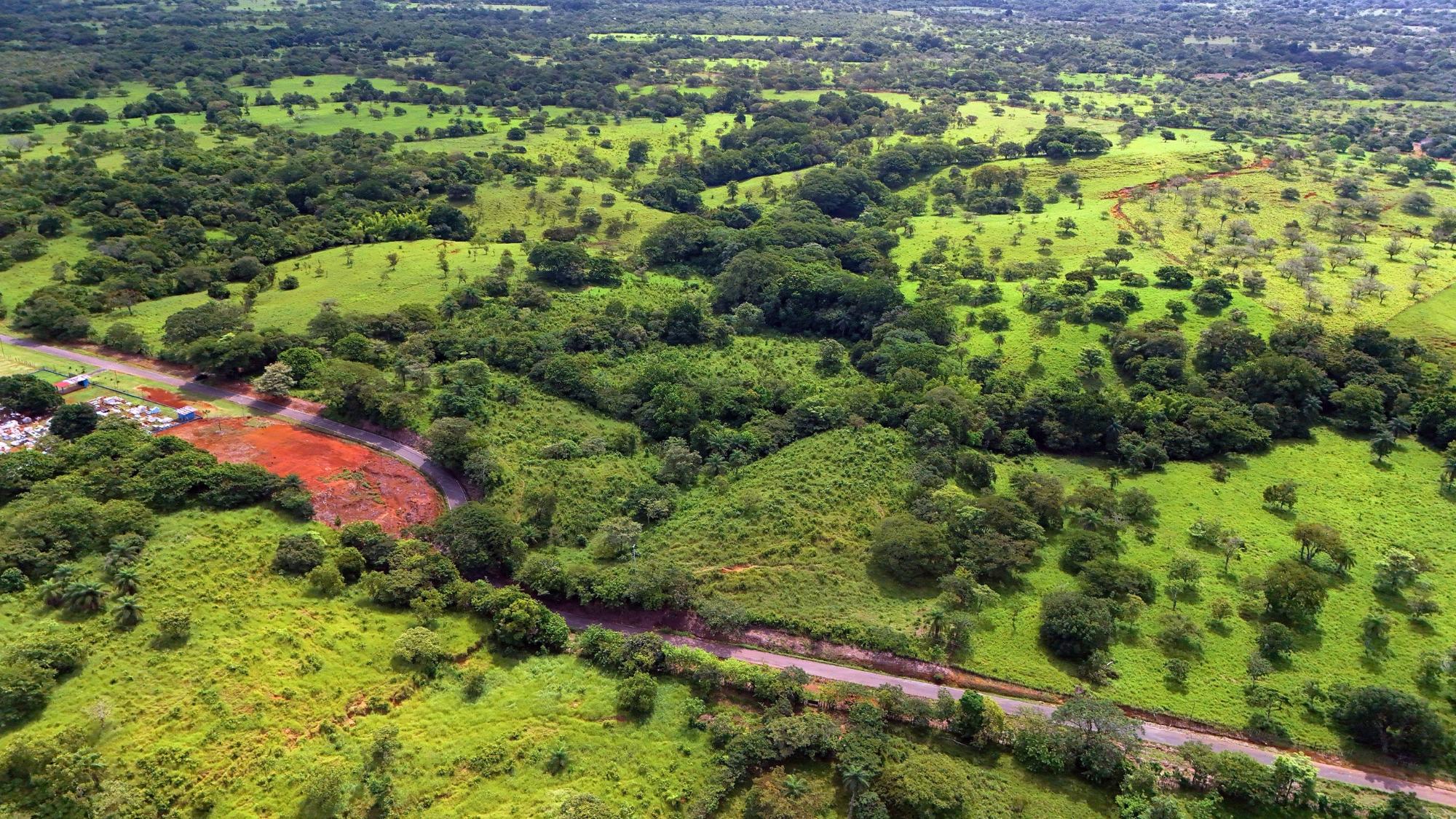 Finca en venta en David