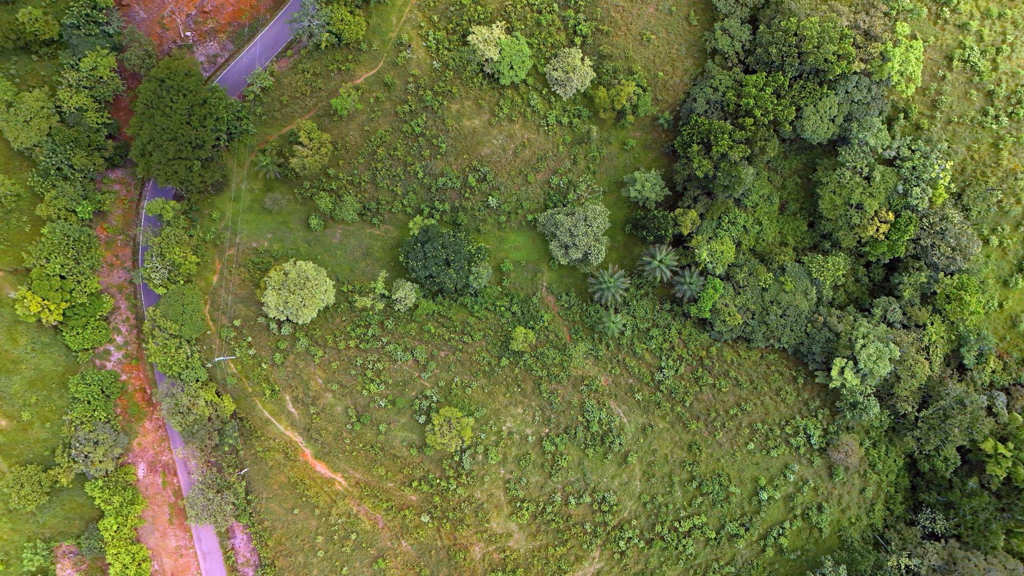 Finca en venta en David
