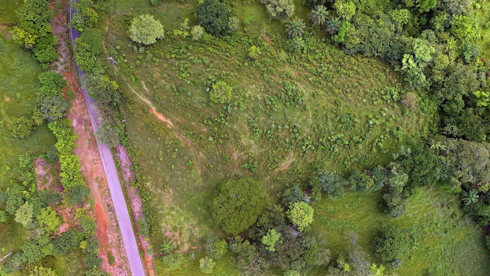 Finca en venta en David