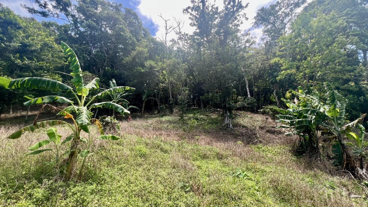 Terreno en venta en La Laguna
