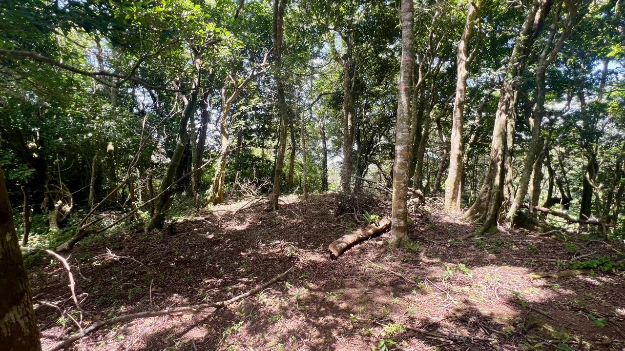 Terreno en venta en La Laguna