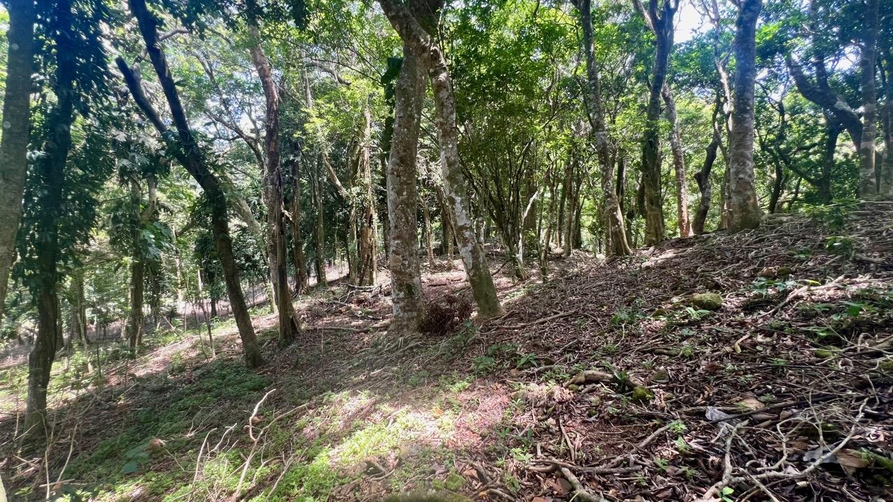 Terreno en venta en La Laguna