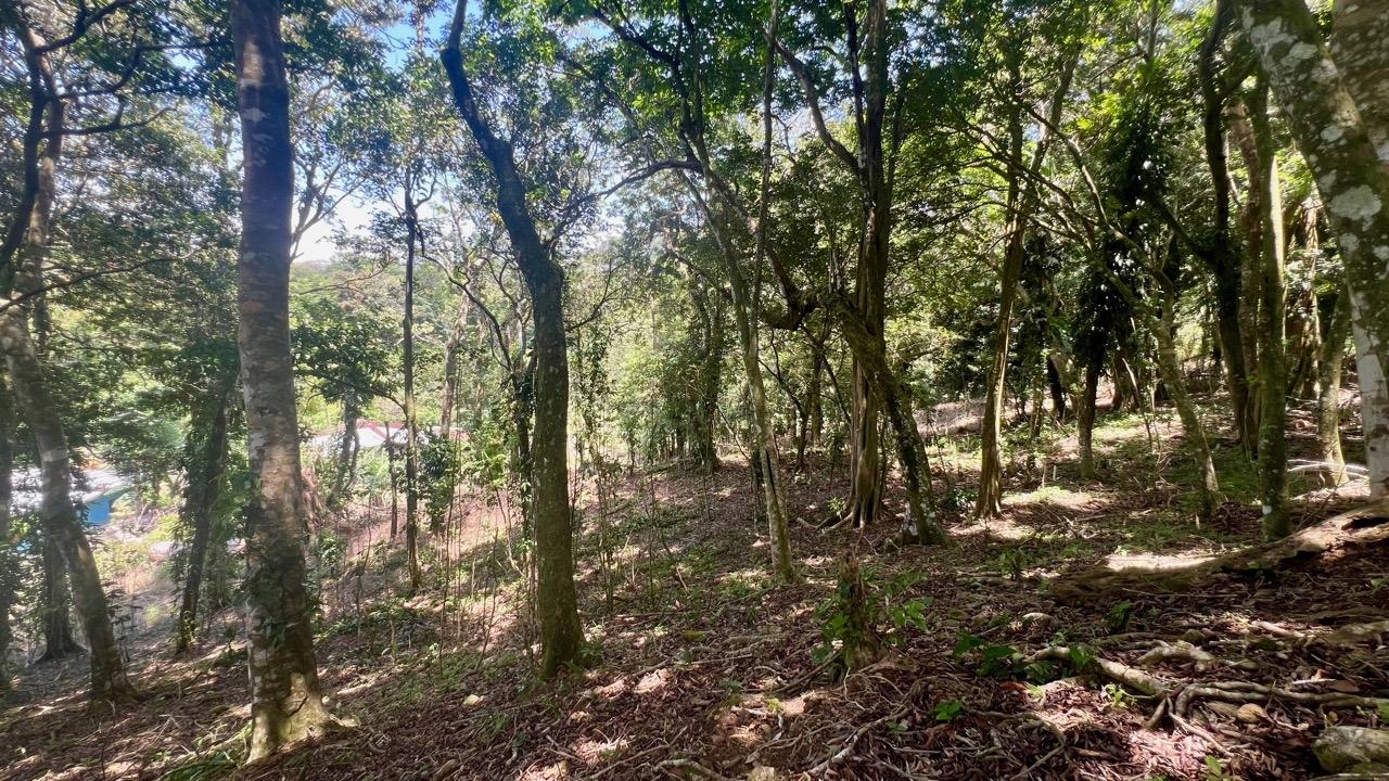 Terreno en venta en La Laguna